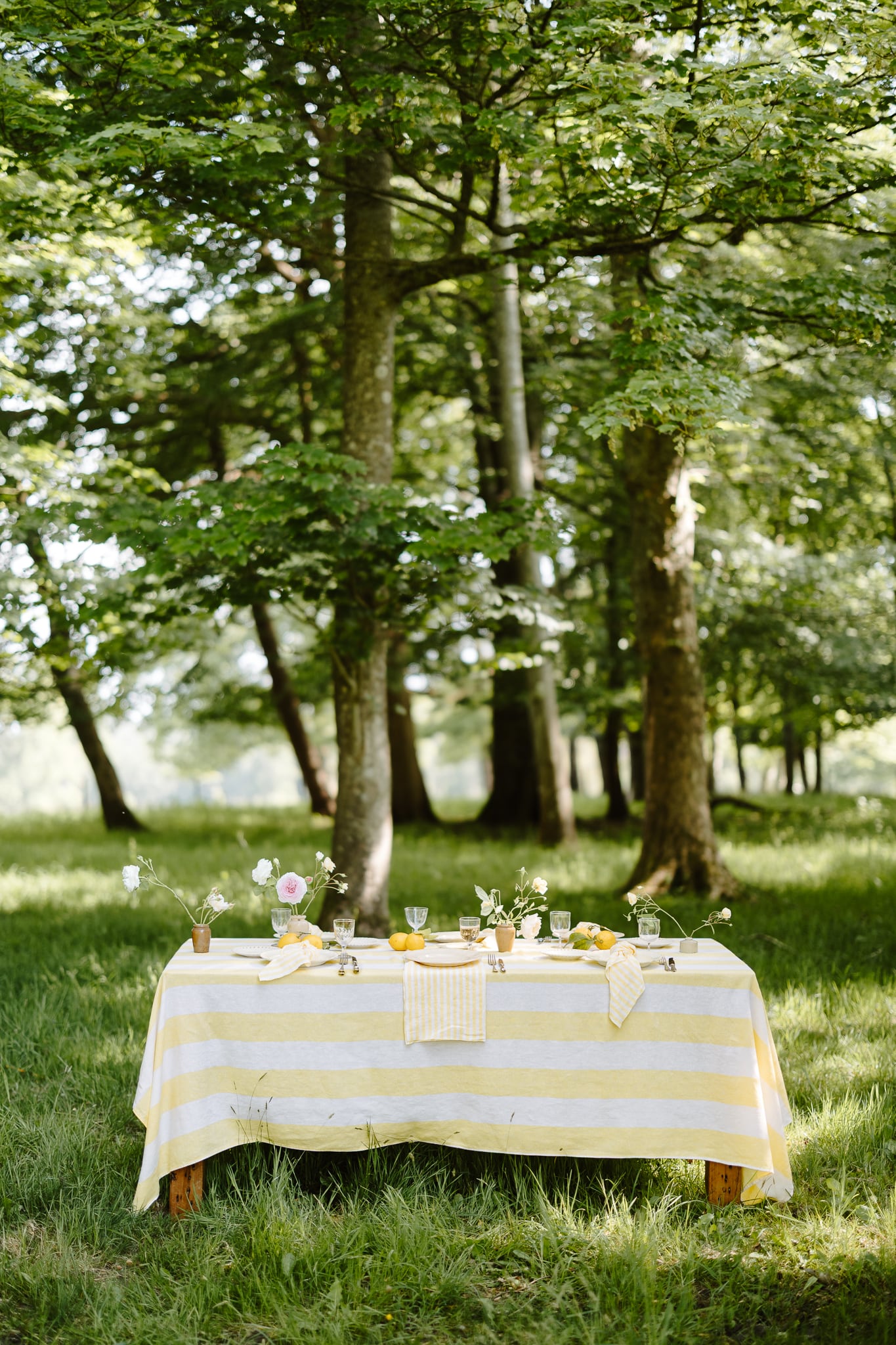 Lemon Grove Tablecloth