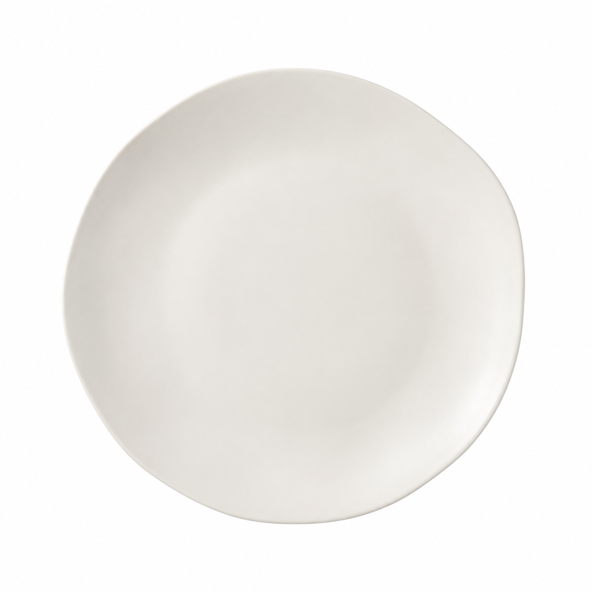 Organic shape dinner plate