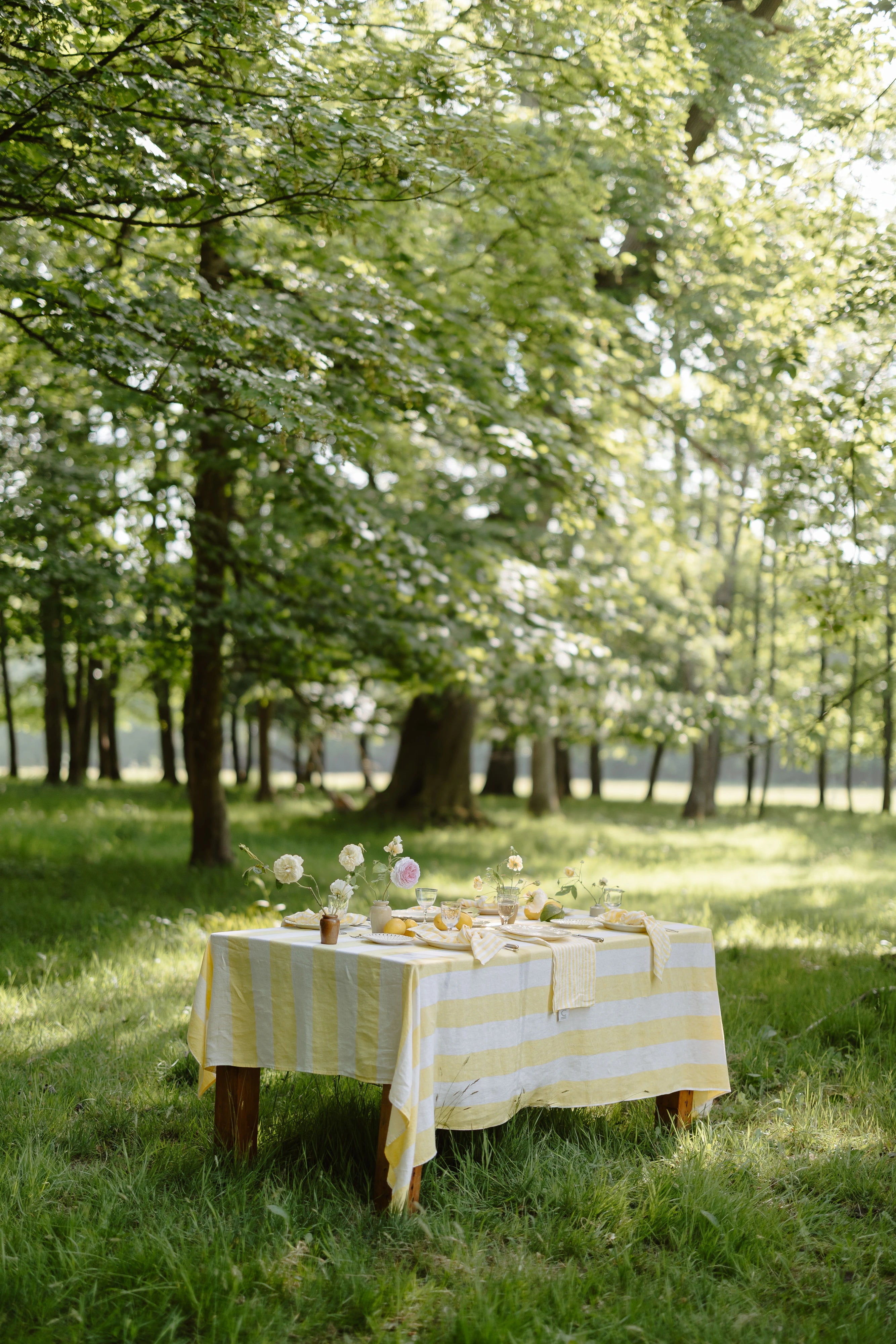 Table set with a yellow and white striped tablecloth in a park setting